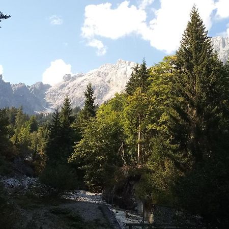 Appartmenthaus Hochkoenig Mühlbach am Hochkönig Buitenkant foto