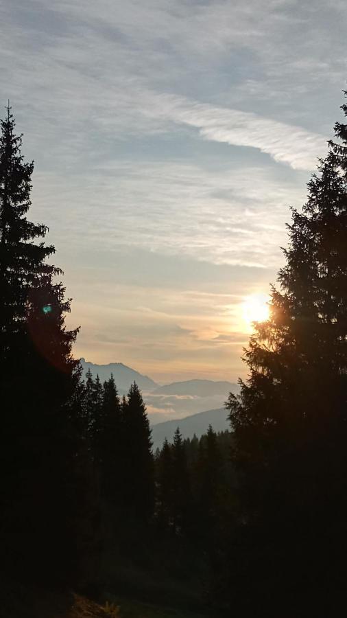 Appartmenthaus Hochkoenig Mühlbach am Hochkönig Buitenkant foto