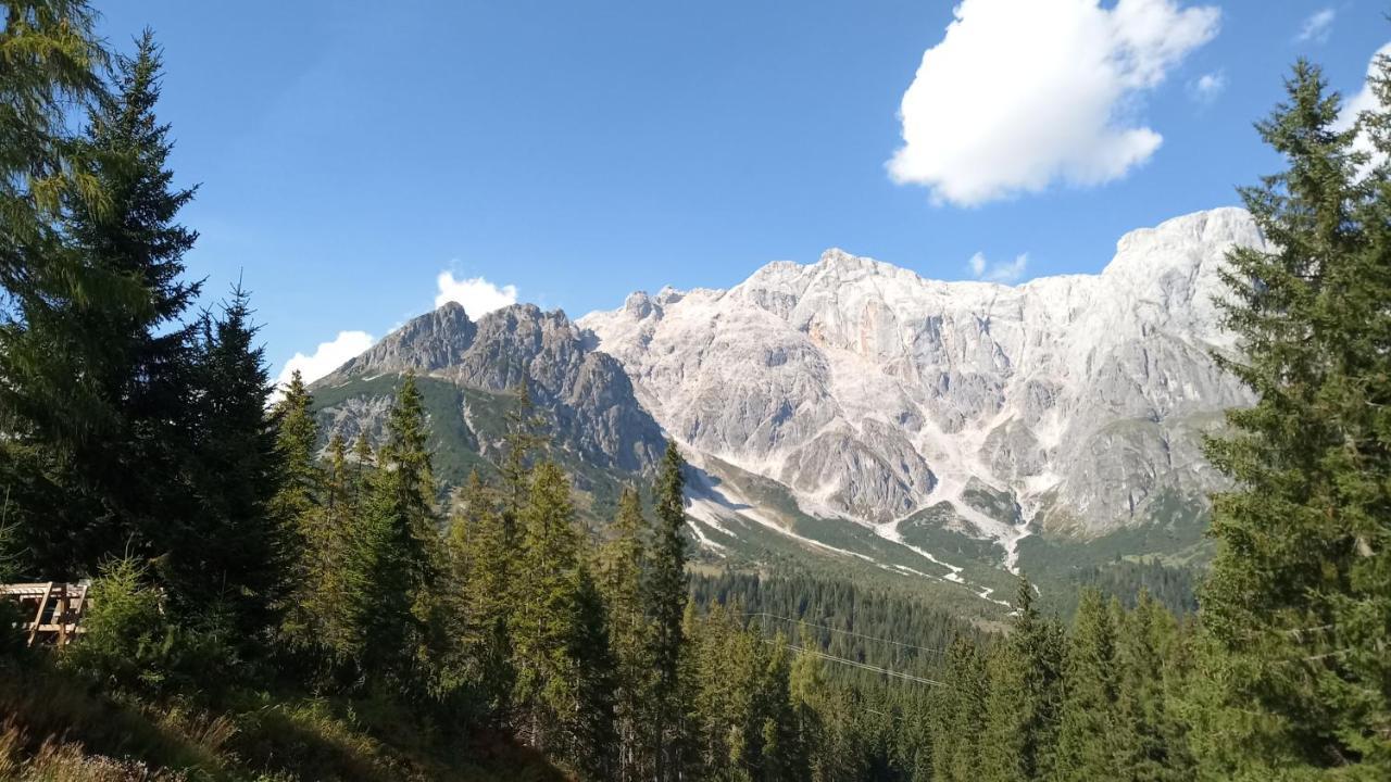 Appartmenthaus Hochkoenig Mühlbach am Hochkönig Buitenkant foto