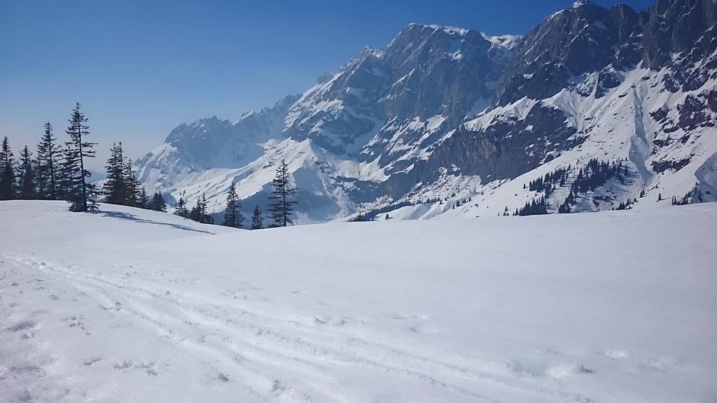Appartmenthaus Hochkoenig Mühlbach am Hochkönig Buitenkant foto