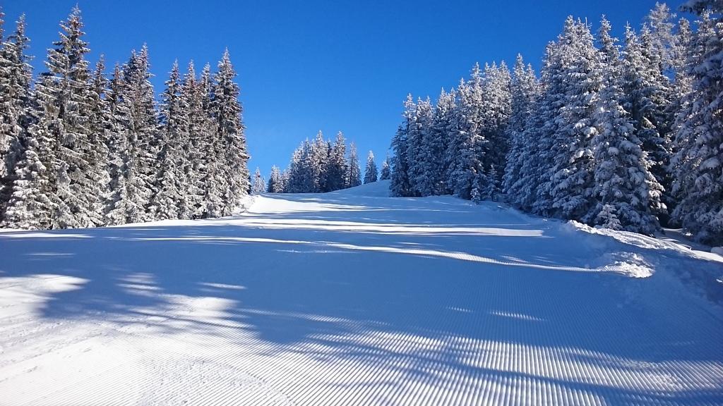 Appartmenthaus Hochkoenig Mühlbach am Hochkönig Buitenkant foto