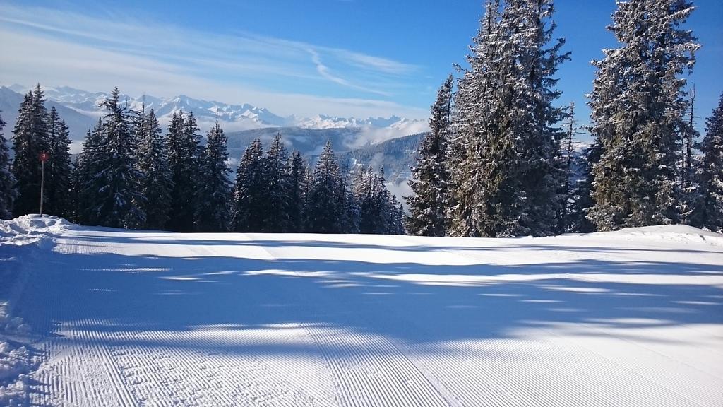 Appartmenthaus Hochkoenig Mühlbach am Hochkönig Buitenkant foto