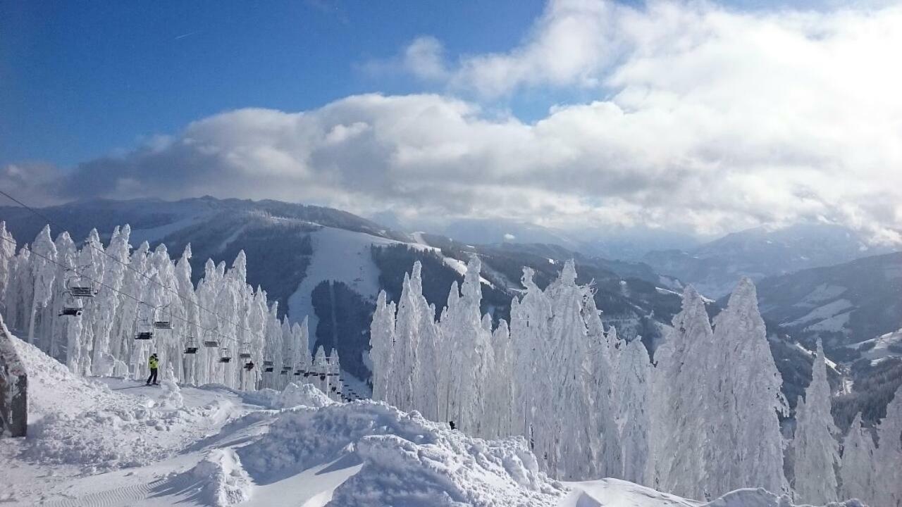 Appartmenthaus Hochkoenig Mühlbach am Hochkönig Buitenkant foto