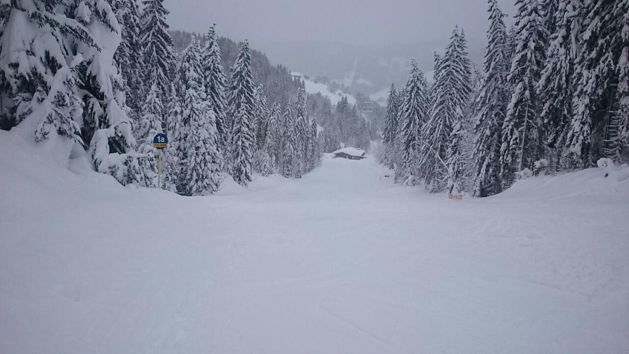 Appartmenthaus Hochkoenig Mühlbach am Hochkönig Buitenkant foto